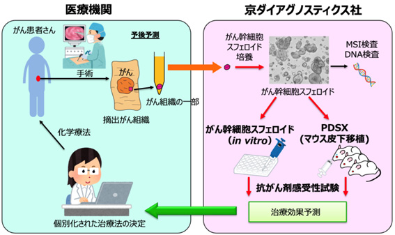 がん個別化医療臨床研究